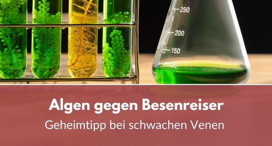 Algen gegen besenreiser